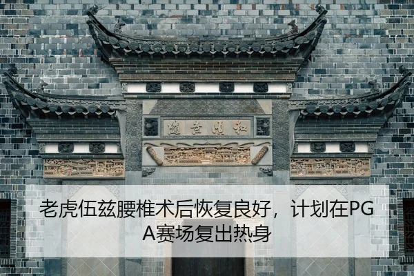 lao-hu-wu-zi-yao-zhui-shu-hou-hui-fu-liang-hao-ji-hua-zai-sai-chang-fu-chu-re-shen-2-154.jpg