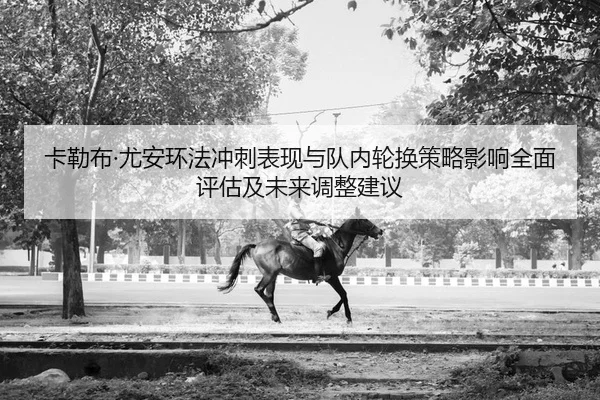 ka-lei-bu-you-an-huan-fa-chong-ci-biao-xian-yu-dui-nei-lun-huan-ce-lve-ying-xiang-quan-mian-ping-gu-ji-wei-lai-tiao-2-384.jpg